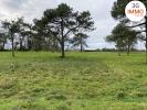 Vente Terrain Grand-champ 56390