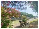 Vente Appartement Narbonne 11100 3 pieces 95 m2