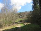 Vente Maison Thillot 88160 15 pieces 306 m2