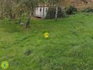 Vente Terrain Montvicq 03170 3 pieces 6000 m2