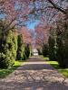 Vente Maison Boissy-fresnoy 60440 9 pieces 191 m2
