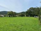 Vente Terrain Soultzmatt 68570