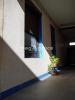 Vente Appartement Villeurbanne 69100 2 pieces 52 m2