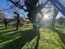 Vente Terrain Daubensand  67150 738 m2