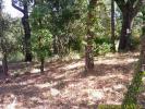 Vente Terrain Mayons  83340 1200 m2
