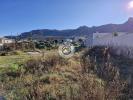 Vente Terrain Figari 20114 493 m2