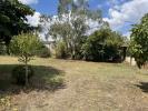Vente Terrain Lacanau 33680 526 m2