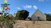 Viager Maison Saint-nicolas-de-bourgueil  37140 4 pieces 75 m2