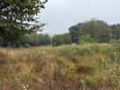 Vente Terrain Saint-martin-de-laye 33910 1300 m2