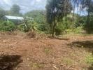 Vente Terrain Marin  97290 1628 m2
