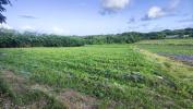 Vente Terrain Vauclin 97280 2000 m2