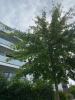 Vente Appartement Saint-ave  56890 2 pieces 42 m2