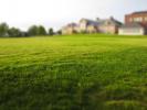 Vente Terrain Yerres  91330 500 m2