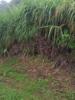 Vente Terrain Sainte-marie  97438 1283 m2