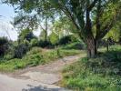 Vente Terrain Ceret  66400 1968 m2