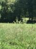 Vente Terrain Malemort-sur-correze  19360 1820 m2