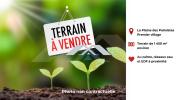 Vente Terrain Plaine-des-palmistes  97431 1450 m2
