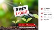 Vente Terrain Tampon  97430 546 m2