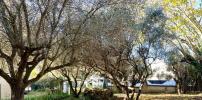 Vente Terrain Gallargues-le-montueux  30660