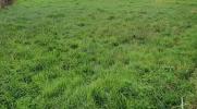 Vente Terrain Blanquefort  33290 409 m2