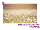 Vente Terrain Pommeraye  49620 306 m2