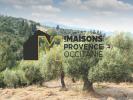 Vente Maison Plan-d'orgon  13750 425 m2
