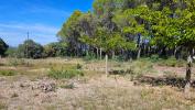 Vente Terrain Vendemian  34230 3360 m2