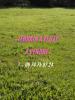 Vente Terrain Teille  44440 313 m2