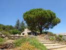 Vente Maison Taillet 66400 7 pieces 235 m2