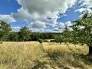 Vente Terrain Vigoulet-auzil 31320 1614 m2