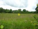 Vente Terrain Dun-le-palestel  23800 9808 m2