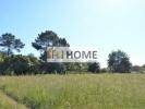 Vente Terrain Saint-caprais-de-bordeaux  33880 1100 m2