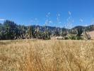Vente Terrain Buis-les-baronnies  26170 888 m2