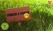 Vente Terrain Nancay 18330 18330 1967 m2