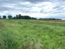 Vente Terrain Muntzenheim 68320