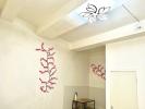 Vente Maison Montpellier ECUSSON CENTRE VILLE 34000 24 m2