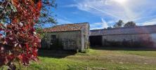Vente Maison Nere 17510 8 pieces 350 m2