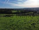Vente Terrain Cambremer 14340
