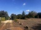 Vente Terrain Saint-gilles 30800 812 m2