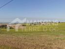 Vente Terrain Castera  31530 811 m2