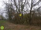 Vente Terrain Mezieres-en-brenne 36290 2404 m2