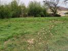 Vente Terrain Artigues-pres-bordeaux 33370 380 m2