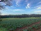 Vente Terrain Pluvigner  56330 32767 m2