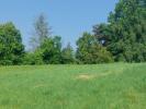 Vente Terrain Primarette  38270 542 m2