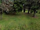 Vente Terrain Baron  33750 1000 m2