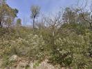 Vente Terrain Contes  06390