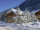 Vente Prestige Morzine  74110 520 m2