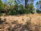 Vente Terrain Saint-maximin-la-sainte-baume  83470