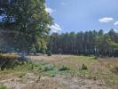 Vente Terrain Uzeste  33730 4 pieces 1600 m2