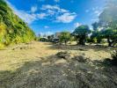 Vente Terrain Vauclin  97280 1215 m2